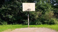 Basketballkorb "Cranachstraße"