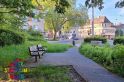 Pocket Park "Freigrafendamm"